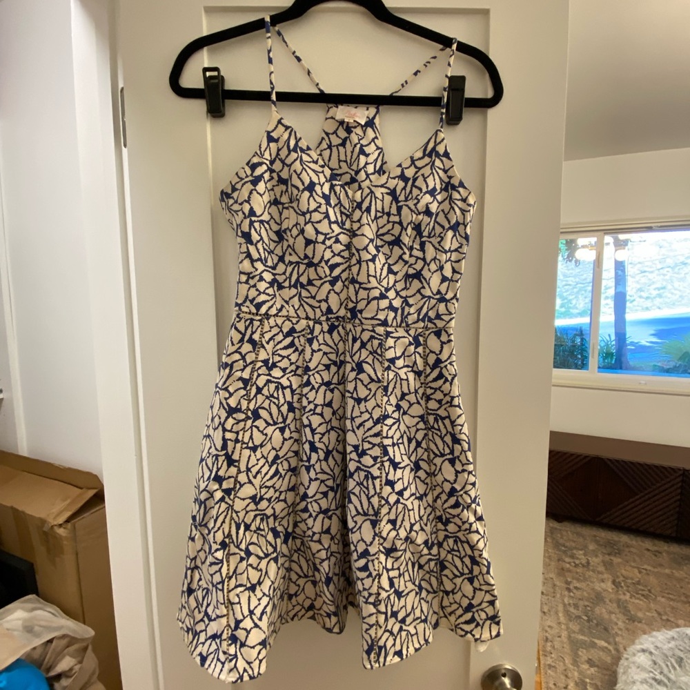 Parker White and Blue Print Dress